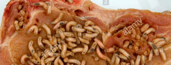 Screen Shot 2017-03-07 at 5.38.35 PM